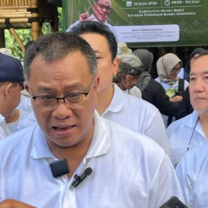 Jumhur: 700 Ribu Hektare Mangrove Perlu Dipulihkan