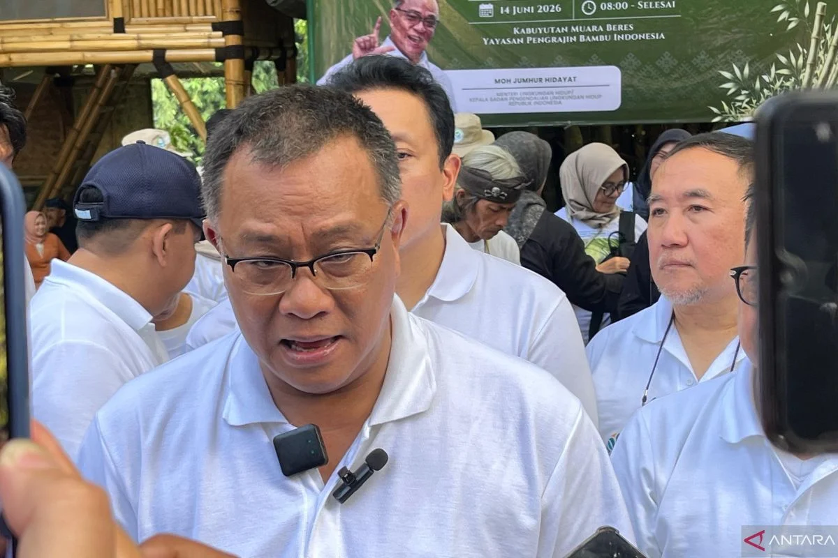 Jumhur: 700 Ribu Hektare Mangrove Perlu Dipulihkan