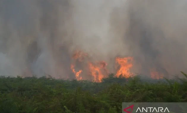 Karhutla Aceh Barat: Antara Bencana dan Tanggung Jawab Menjaga Alam
