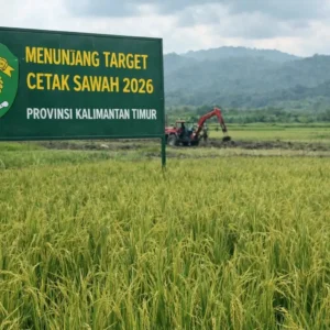 Kementerian Pertanian Capai Target Cetak Sawah di Kalimantan 2026 Secara Utuh