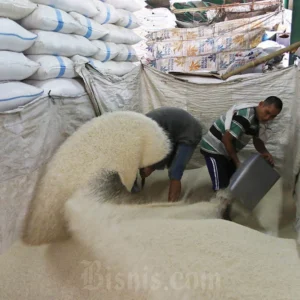 Kepala Bapanas Tegaskan Stok Beras Melimpah, Tidak Ada Kelangkaan