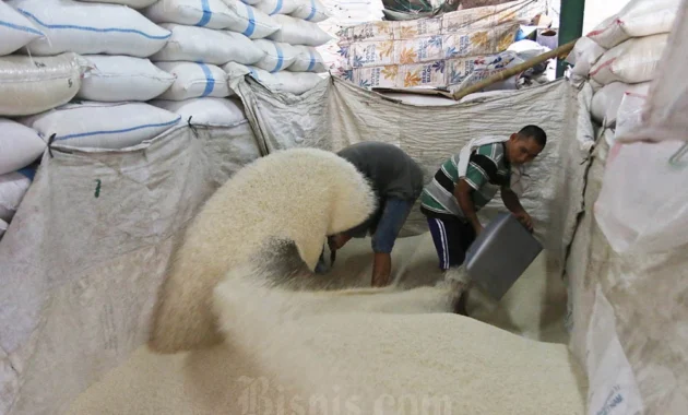Kepala Bapanas Tegaskan Stok Beras Melimpah, Tidak Ada Kelangkaan Kepala Bapanas Tegaskan Stok Beras Melimpah, Tidak Ada Kelangkaan