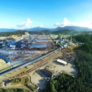 Komaidi: Daya Saing Industri Tak Hanya Ditentukan Harga Gas, Bahan Baku hingga Kurs Lebih Dominan