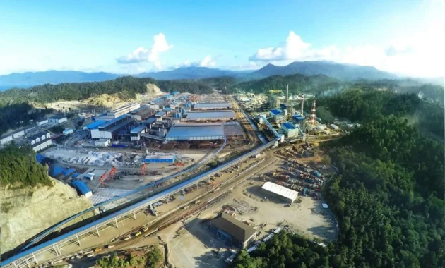 Komaidi: Daya Saing Industri Tak Hanya Ditentukan Harga Gas, Bahan Baku hingga Kurs Lebih Dominan