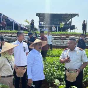 Komisi XIII Sebut Program Ketahanan Pangan Imipas Jadi Terobosan