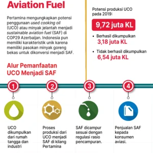 Krisis Energi Dorong Jepang Berburu Minyak Goreng Bekas untuk Bahan Bakar Pesawat