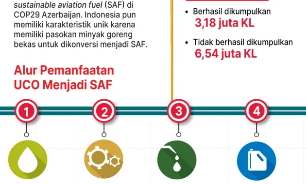 Krisis Energi Dorong Jepang Berburu Minyak Goreng Bekas untuk Bahan Bakar Pesawat Krisis Energi Dorong Jepang Berburu Minyak Goreng Bekas untuk Bahan Bakar Pesawat