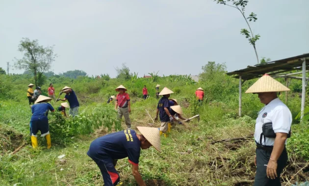 Lapas Warungkiara Kelola Lahan Tidur 7 Hektare untuk Dukung Ketahanan Pangan Lapas Warungkiara Kelola Lahan Tidur 7 Hektare untuk Dukung Ketahanan Pangan