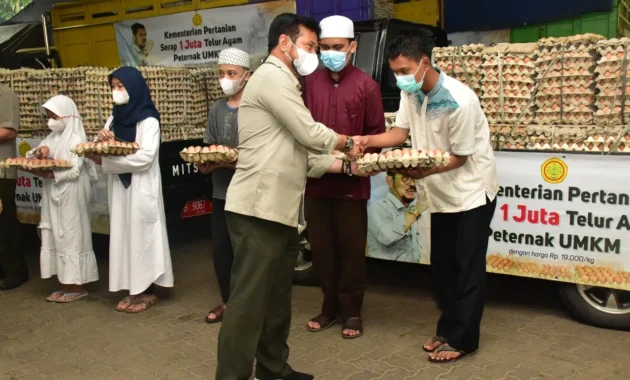 Legislator Dukung Mentan Stabilkan Harga Telur Ayam untuk Tingkat Peternak