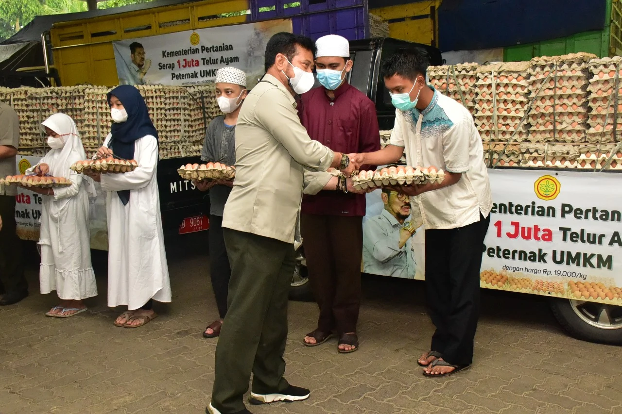 Legislator Dukung Mentan Stabilkan Harga Telur Ayam untuk Tingkat Peternak