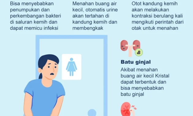 Menahan buang air kecil berisiko terhadap kesehatan kandung kemih