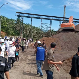 Mentan Amran Murka! 300 Perusahaan Tak Kunjung Naikkan Harga TBS Sawit Bakal Diperiksa