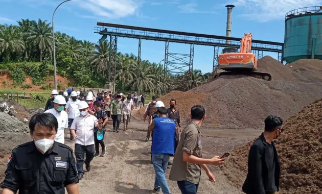 Mentan Amran Murka! 300 Perusahaan Tak Kunjung Naikkan Harga TBS Sawit Bakal Diperiksa Mentan Amran Murka! 300 Perusahaan Tak Kunjung Naikkan Harga TBS Sawit Bakal Diperiksa