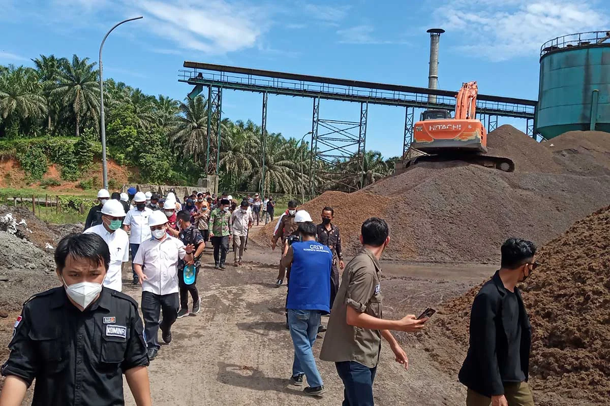 Mentan Amran Murka! 300 Perusahaan Tak Kunjung Naikkan Harga TBS Sawit Bakal Diperiksa