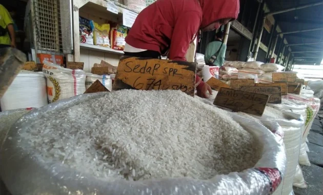 Mentan Pastikan Kualitas Stok Beras Baik dan Layak Salur Mentan Pastikan Kualitas Stok Beras Baik dan Layak Salur