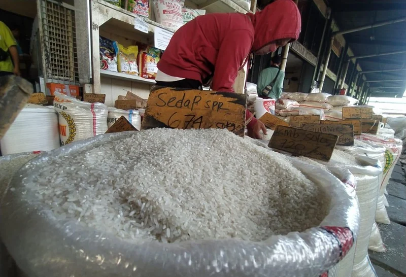 Mentan Pastikan Kualitas Stok Beras Baik dan Layak Salur