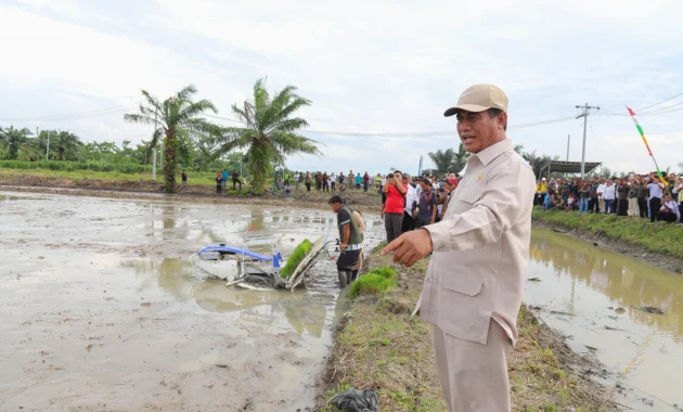 Menteri Pertanian Targetkan Luas Cetak Sawah Papua Capai 80.000 Ha pada 2026