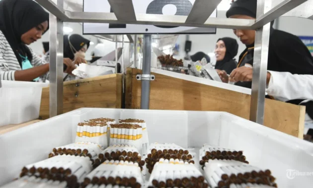 Pakar Khawatir Usulan Batas Produksi Rokok Bisa Picu Lonjakan Konsumsi Pakar Khawatir Usulan Batas Produksi Rokok Bisa Picu Lonjakan Konsumsi