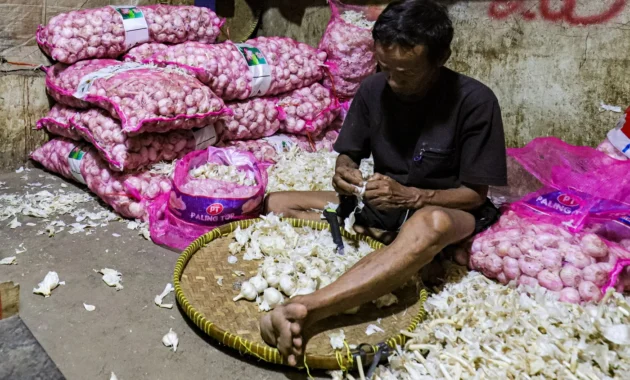 Pelaku UMKM Minta Perlindungan ke Komisi III DPR, Keluhkan Bawang Putih Ratusan Bal Disegel Polisi Pelaku UMKM Minta Perlindungan ke Komisi III DPR, Keluhkan Bawang Putih Ratusan Bal Disegel Polisi