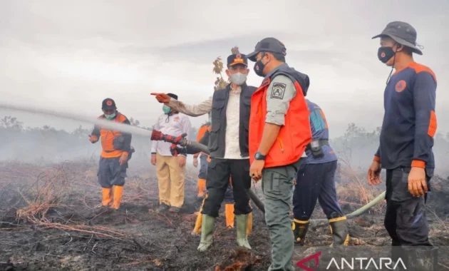 Pemadaman Kebakaran Puluhan Hektare Hutan dan Lahan di Aceh Barat Pemadaman Kebakaran Puluhan Hektare Hutan dan Lahan di Aceh Barat