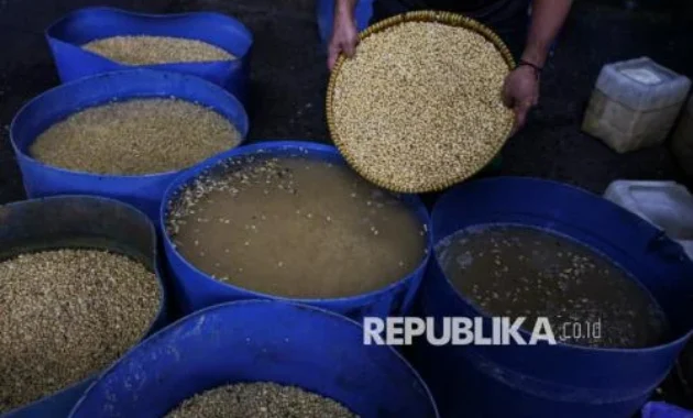 Pemerintah Ancam Cabut Izin Importir Kedelai yang Naikkan Harga Semena-mena Pemerintah Ancam Cabut Izin Importir Kedelai yang Naikkan Harga Semena-mena