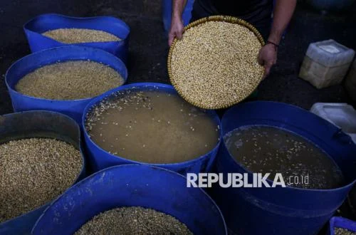 Pemerintah Ancam Cabut Izin Importir Kedelai yang Naikkan Harga Semena-mena
