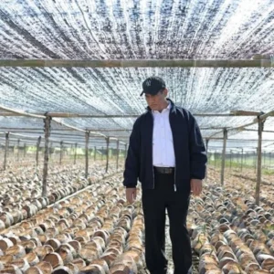 Pemerintah Siapkan 280 Juta Bibit Kakao dan Kelapa untuk Perkuat Perkebunan Nasional