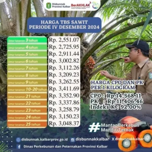 Pemkab Aceh Barat Ungkap Praktik PKS Beli TBS Sawit di Bawah Harga Resmi