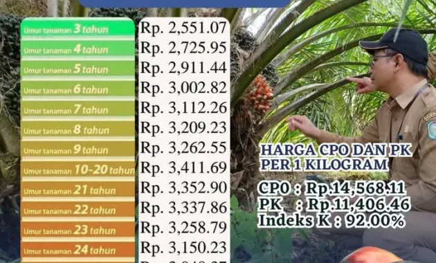 Pemkab Aceh Barat Ungkap Praktik PKS Beli TBS Sawit di Bawah Harga Resmi