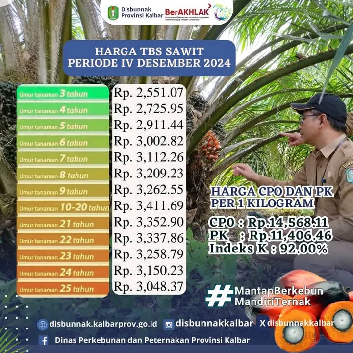 Pemkab Aceh Barat Ungkap Praktik PKS Beli TBS Sawit di Bawah Harga Resmi