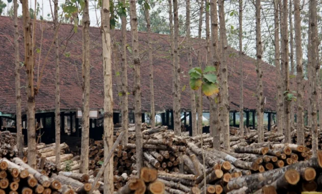 Pemprov Jatim Dorong Industri Kayu Berbasis Kelestarian Hutan Pemprov Jatim Dorong Industri Kayu Berbasis Kelestarian Hutan