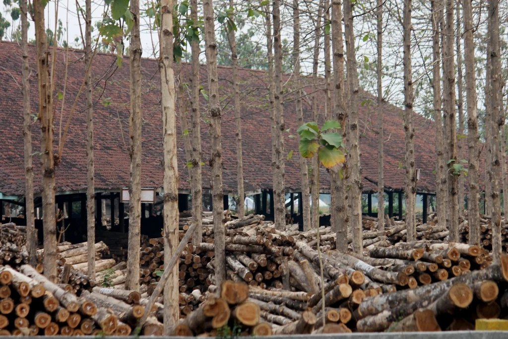 Pemprov Jatim Dorong Industri Kayu Berbasis Kelestarian Hutan