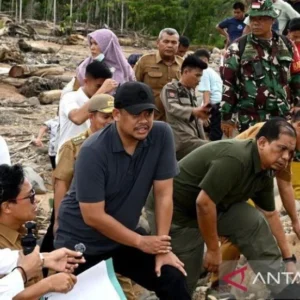 Pemprov Sumut Perkuat Pengawasan Tambang Ilegal dengan Aparat Hukum