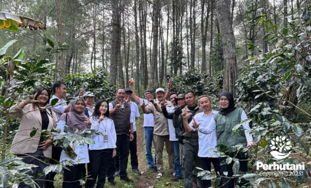 Perhutani Perkuat Bisnis Kopi Berbasis Kelestarian Hutan, Libatkan Puluhan Ribu Petani