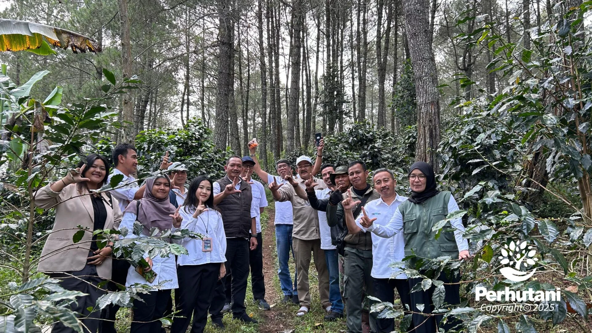 Perhutani Perkuat Bisnis Kopi Berbasis Kelestarian Hutan, Libatkan Puluhan Ribu Petani