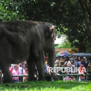 Peringati HUT ke-499 Jakarta, Masuk Ragunan dan Ancol Akan Digratiskan Selama Tiga Hari