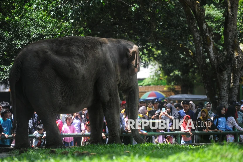 Peringati HUT ke-499 Jakarta, Masuk Ragunan dan Ancol Akan Digratiskan Selama Tiga Hari