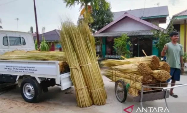 Petani Hutan Kaltim Ekspor Puluhan Ton Lidi Nipah ke Pasar India