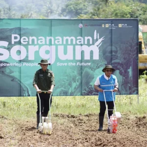 PLTU Pelabuhan Ratu Terapkan Co-Firing dengan Serbuk Sorgum
