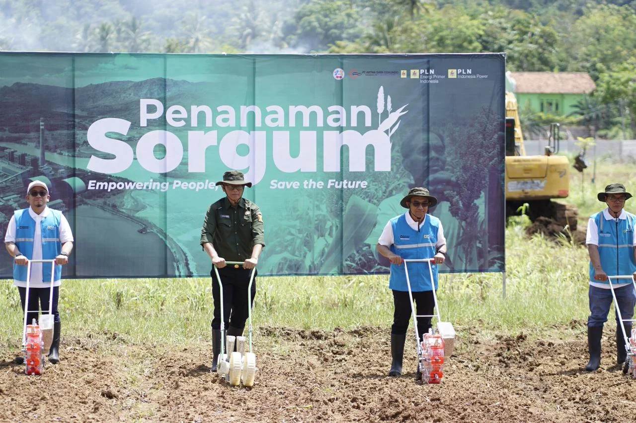 PLTU Pelabuhan Ratu Terapkan Co-Firing dengan Serbuk Sorgum