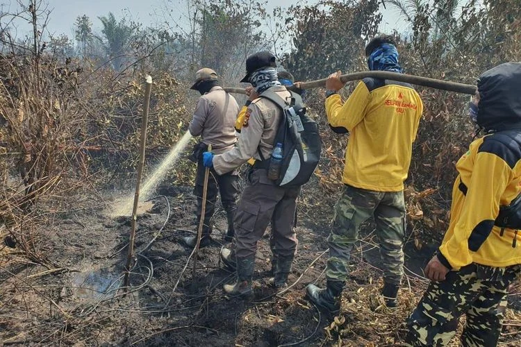 Polisi Aceh Gelar Operasi Penangkapan Pelaku Pembakaran Hutan dan Lahan