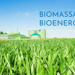 Potensi Biomassa Belum Optimal Dimanfaatkan, IBI Diusulkan sebagai Acuan Harga Bioenergi
