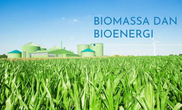 Potensi Biomassa Belum Optimal Dimanfaatkan, IBI Diusulkan sebagai Acuan Harga Bioenergi