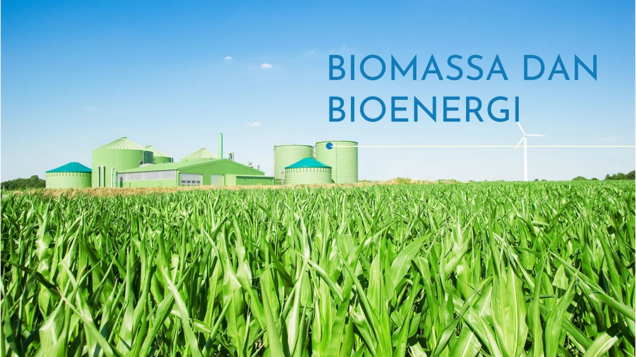 Potensi Biomassa Belum Optimal Dimanfaatkan, IBI Diusulkan sebagai Acuan Harga Bioenergi