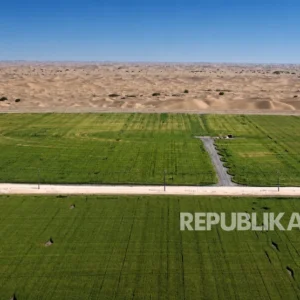 Profil Gurun Taklimakan yang Gersang-Tandus, Kini Disulap China Jadi Wasilah Sustainability