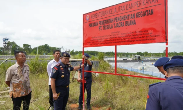 PSDKP Pontianak Segel Empat Tambak Udang Tanpa Izin di Kalimantan Barat