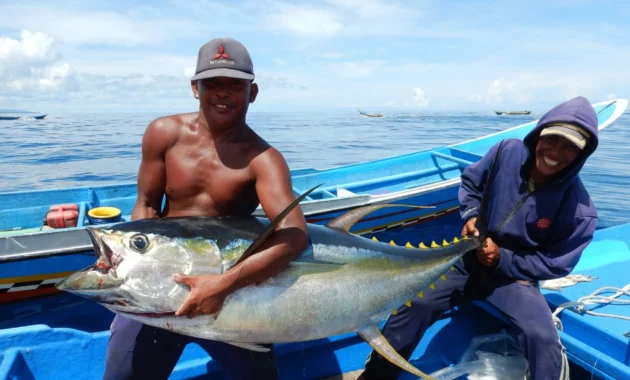Rekor Ekspor Seafood Jepang Melonjak 17 Persen, Tembus Rp 46,96 Triliun