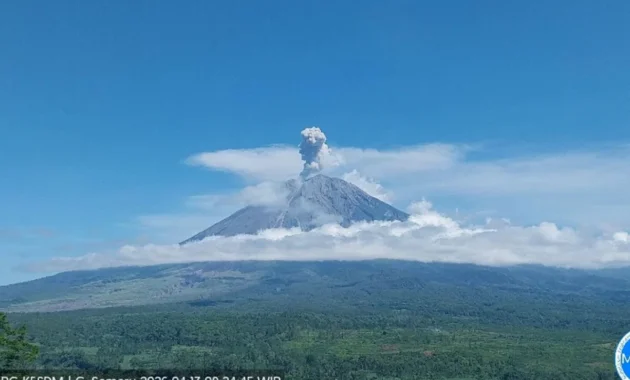 Semeru Erupsi Enam Kali, Tinggi Letusan Capai 1.000 Meter Semeru Erupsi Enam Kali, Tinggi Letusan Capai 1.000 Meter