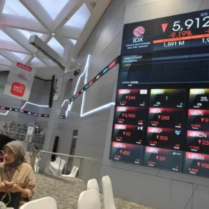 Server PPATK Sempat Down Akibat Laporan Korban Hanania Travel, Aliran Dana Rekening Pemegang Saham dan Direksi Kini Dibidik