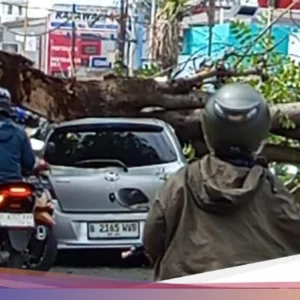 Tak Ada Angin, Tak Ada Hujan, Prabowo Mendadak Copot Dadan Hindayana sebagai Kepala BGN